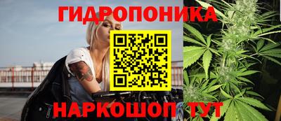 дмт Обь