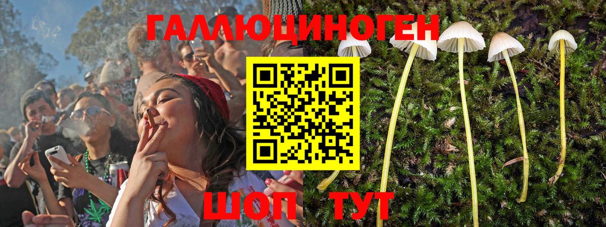 Псилоцибиновые грибы GOLDEN TEACHER Семилуки