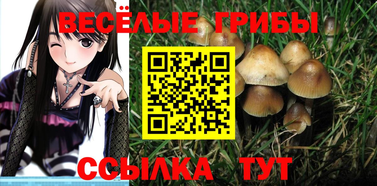Галлюциногенные грибы MAGIC MUSHROOMS  Галлюциногенные грибы Psilocybe  Вход с VPN  Семилуки 
